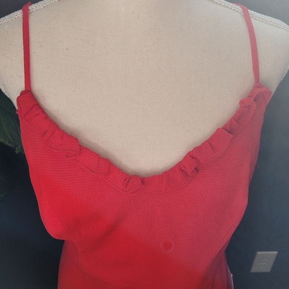 Red Ruffled Mini Dress - Picture 3 of 5